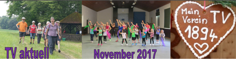 2017 newsletter nov